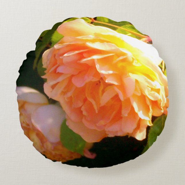 Elegant classic orange peach roses floral round cushion (Front)