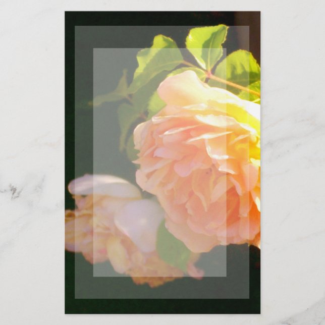 Elegant classic orange peach roses floral stationery (Front)