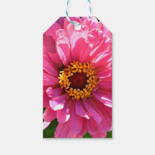Elegant classic pink floral flower mum daisy gift tags