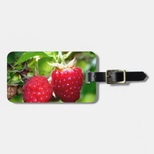 Elegant classic red Raspberries Luggage Tag