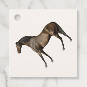 Elegant Classic Vintage Race Horse Equestrian Favour Tags