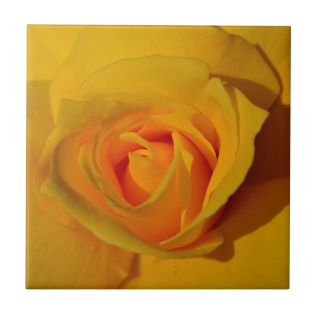 Elegant classic yellow orange rose tile (Front)