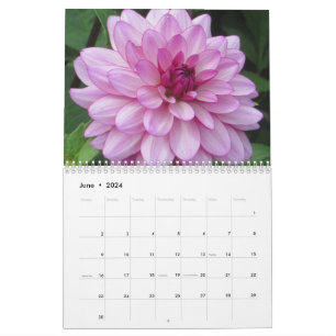Elegant Colourful Dahlias Botanical Calendar