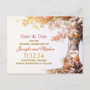 elegant colourful tree save the date postcards