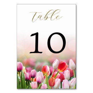 Elegant Colourful Tulip Florals Wedding Table Number
