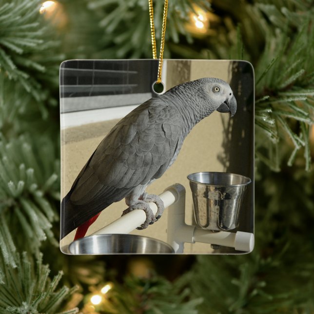 Elegant Congo African Grey Parrot on Stand Ceramic Ornament (Tree)