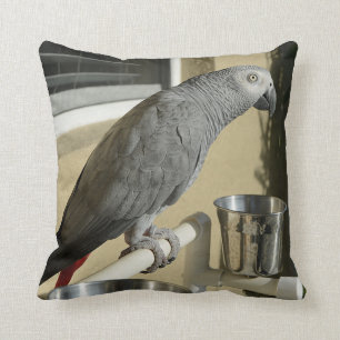 Elegant Congo African Grey Parrot on Stand Cushion