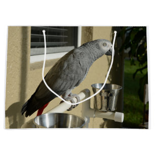 Elegant Congo African Grey Parrot on Stand Large Gift Bag