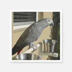 Elegant Congo African Grey Parrot on Stand Napkin