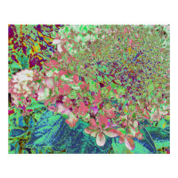 Elegant Coral and Chartreuse Limelight Hydrangea