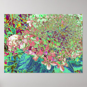 Elegant Coral and Chartreuse Limelight Hydrangea Poster