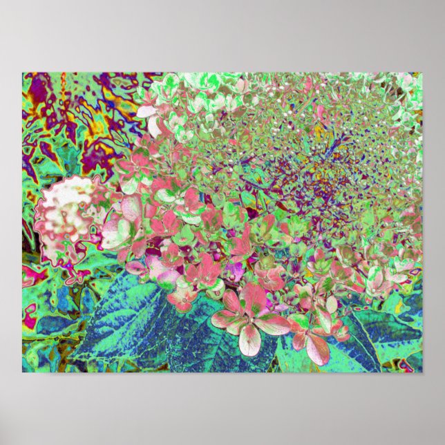 Elegant Coral and Chartreuse Limelight Hydrangea Poster (Front)