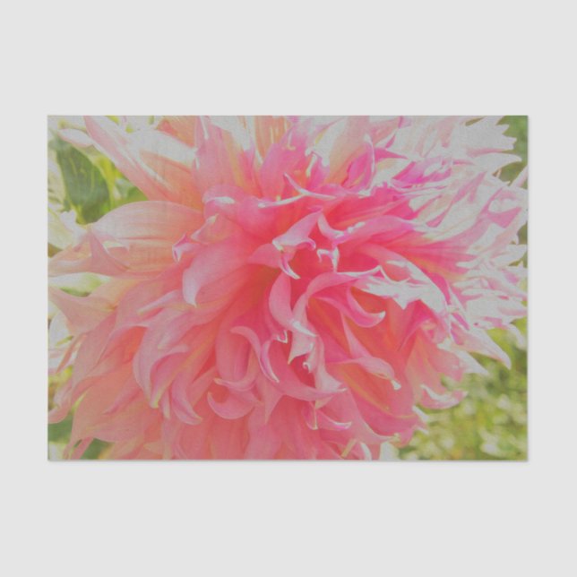 Elegant Coral and Pink Decorative Dahlia Tissue Paper (Front)