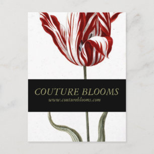 Elegant Couture Business Opening Announcement Card