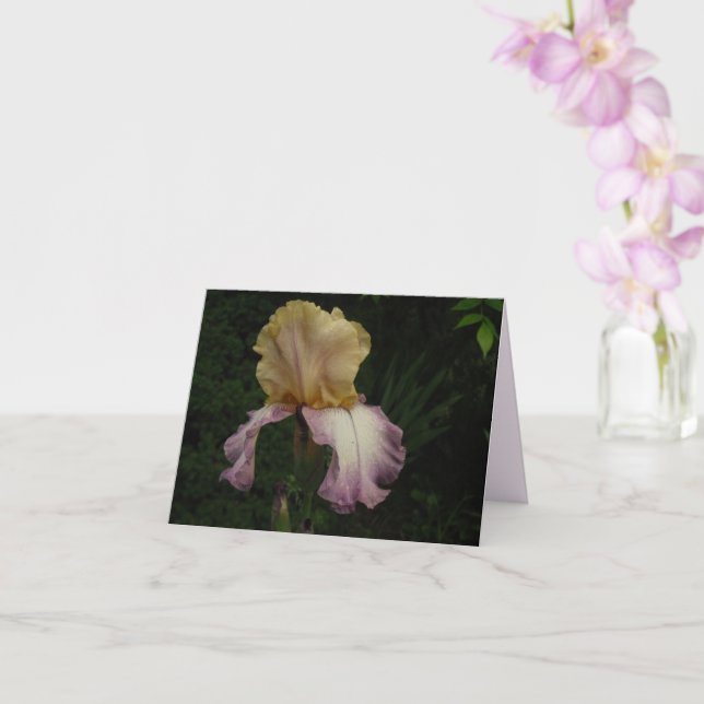 Elegant Cream Purple Iris Floral Photo Card (Orchid)