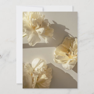 Elegant Cream Tulips in warm light,  Thank You Card
