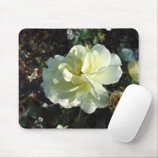 Elegant Creamy White Rose Floral Photography Mouse Mat