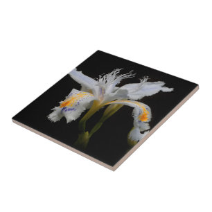 Elegant Crested Iris Japonica Tile