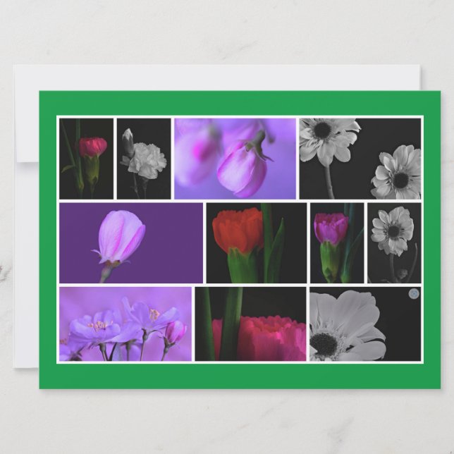 Elegant, Cute Flowers Photo Collage on Kelly Green (Front)