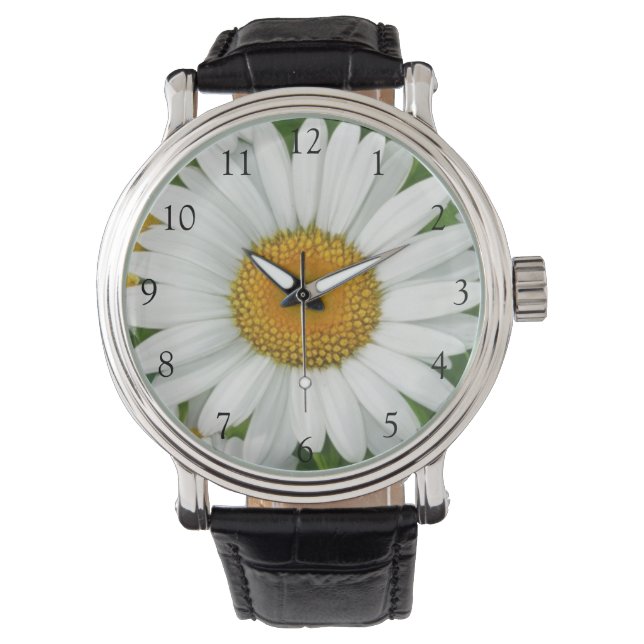 Elegant daisies white floral flowers greenery watch (Front)