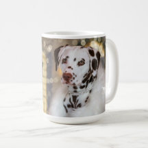 Elegant Dalmatian