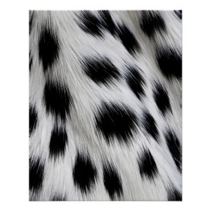 Elegant Dalmatian Faux Fur Pattern Poster
