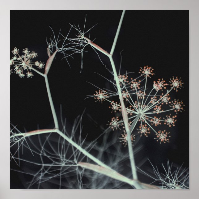 Elegant Dark Floral Abstract Poster (Front)