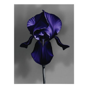 Elegant Dark Iris With Smoky Grey  Poster