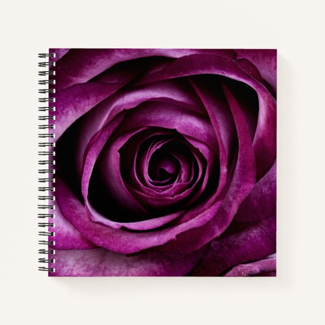 Elegant Dark Purple Rose Notebook (Front)