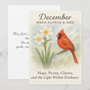 Elegant December Scripture Christian Cardinal