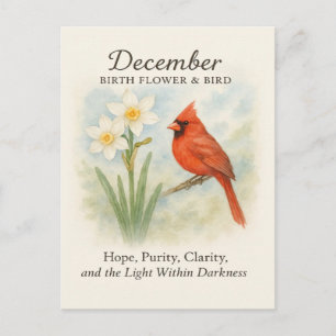 Elegant December Scripture Christian Cardinal Postcard