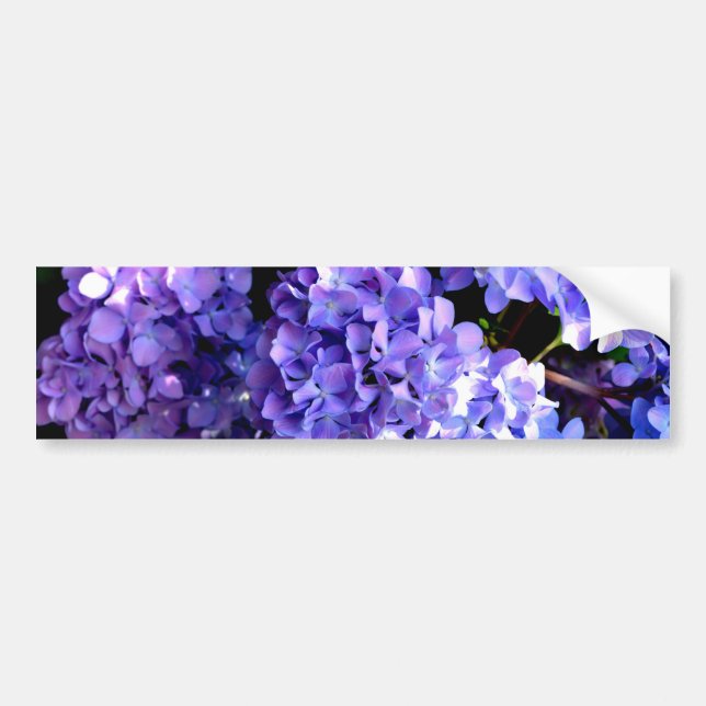 Elegant deep purple floral flowers  hydrangea bumper sticker (Front)