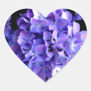 Elegant deep purple florals periwinkle hydrangeas heart sticker