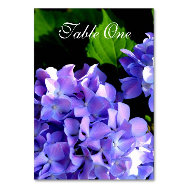 Elegant deep purple florals periwinkle hydrangeas table number (Front)