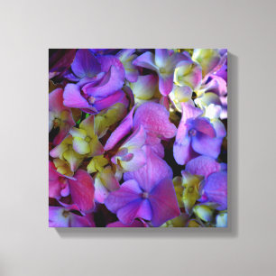 Elegant deep purple pink magenta floral hydrangeas canvas print