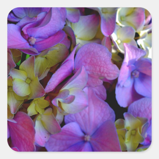 Elegant deep purple pink magenta floral hydrangeas square sticker (Front)
