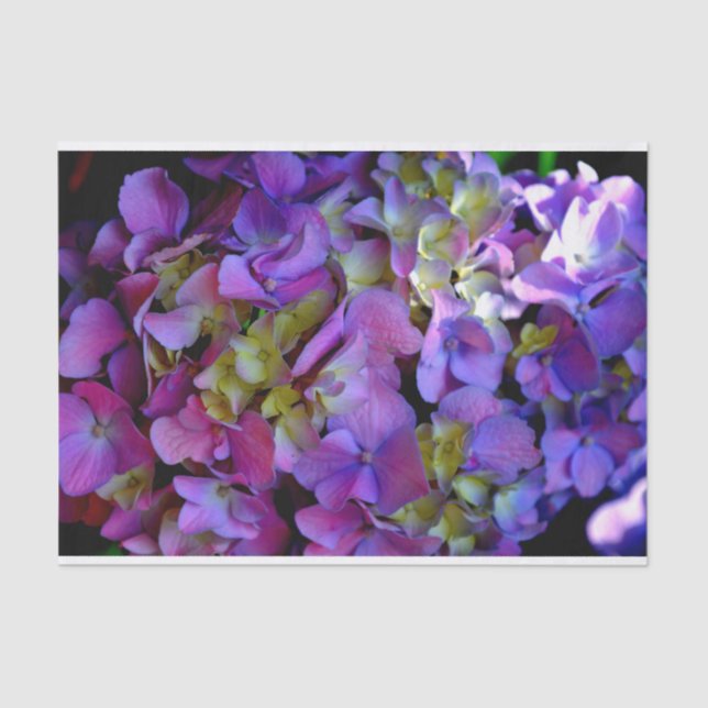 Elegant deep purple pink magenta floral hydrangeas tissue paper (Front)