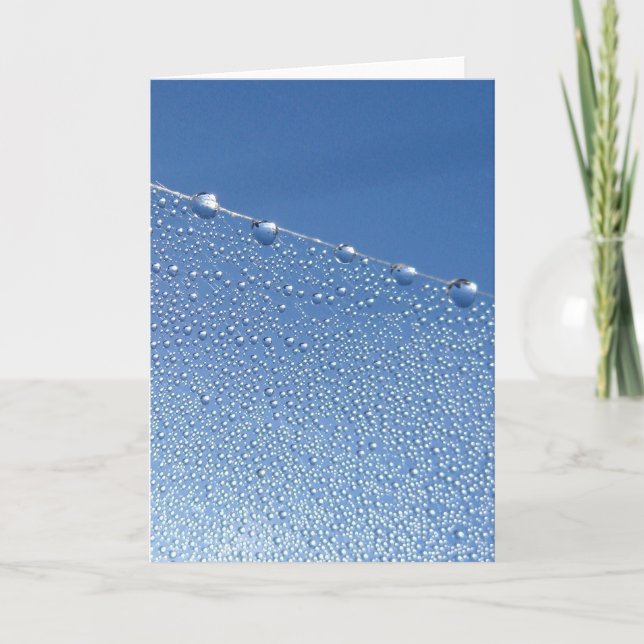 Elegant Dew Drop, Nature Meditation Poetry Card (Front)