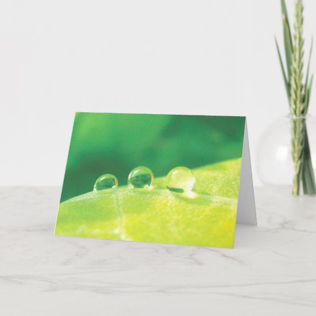 Elegant, Dew Drops, Stories in Nature Poetry Card (Front)