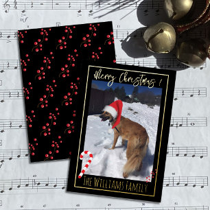 Elegant Dog In Snow Pet Photo Foil Christmas Card