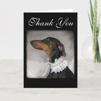 Elegant dog says thank you