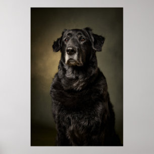 Elegant Dog Silhouette Poster