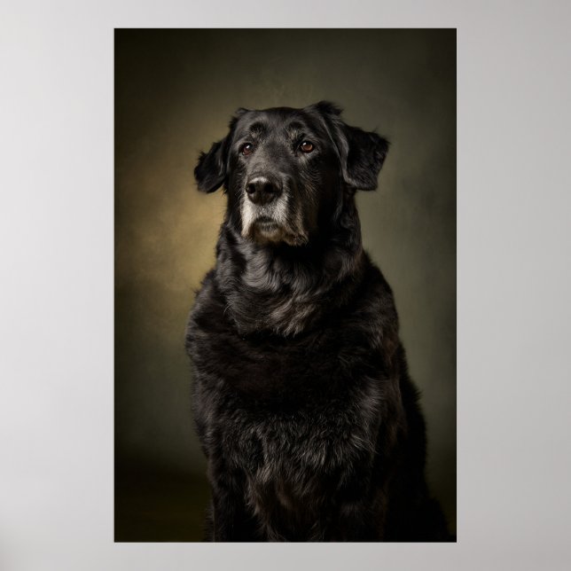 Elegant Dog Silhouette Poster (Front)