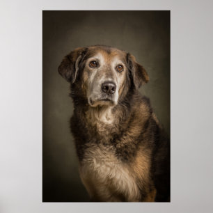 Elegant Dog Silhouette Poster