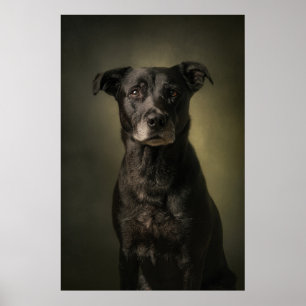 Elegant Dog Silhouette Poster