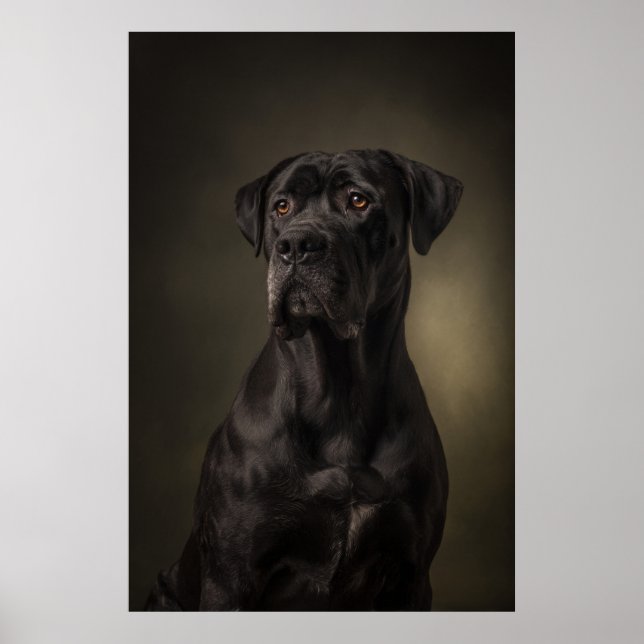 Elegant Dog Silhouette Poster (Front)