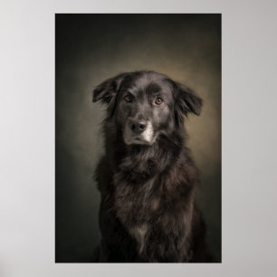 Elegant Dog Silhouette Poster