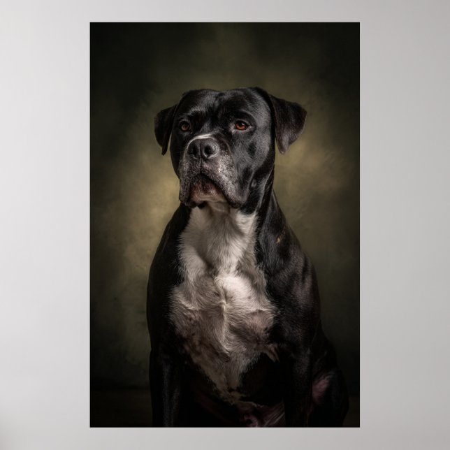 Elegant Dog Silhouette Poster (Front)