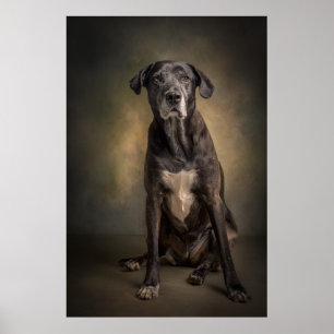 Elegant Dog Silhouette Poster