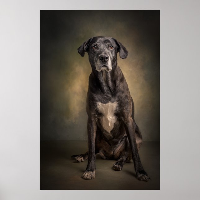 Elegant Dog Silhouette Poster (Front)